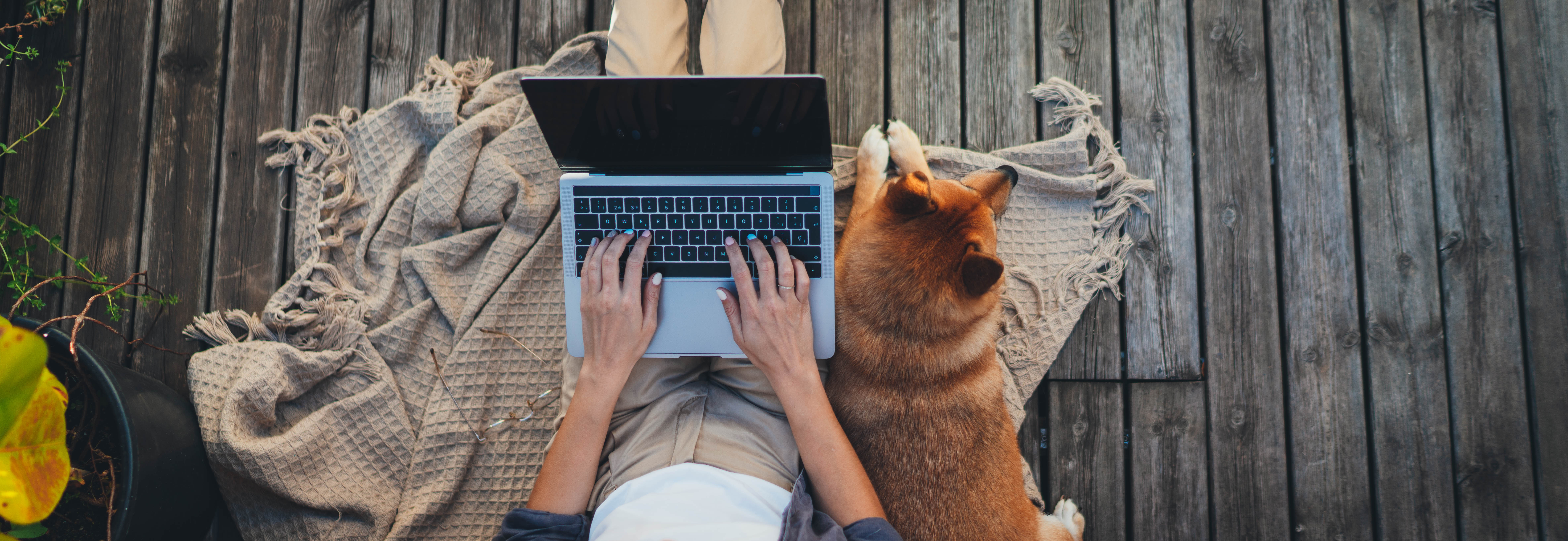 person on computer with dog